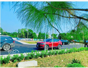 bán đất vai réo, phú cát, quốc oai, hà nội, 38 triệu/m2, 100 m2 cách nhà máy in tiền, đhqg chỉ 2km