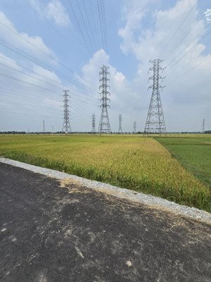 bán đất tại nhuận đức, củ chi, hồ chí minh, 2,68 tỷ, 4400m2