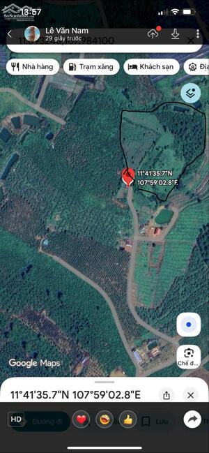 CHÍNH CHỦ CẦN BÁN GẤP LÔ ĐẤT VƯỜN CÀ PHÊ NGAY XÃ TÂN LÂM, DI LINH , LÂM ĐỒNG