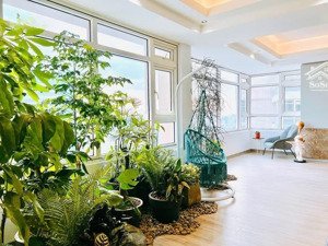 căn hộ cc hàng hiếm tại nguyễn hữu cảnh, 12,5 triệu, 135m2 lt 