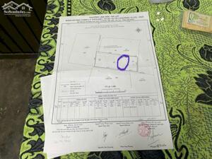 CHÍNH CHỦ CẦN BÁN GẤP LÔ ĐẤT SỔ VI BẰNG GIÁ ĐẦU TƯ NGAY PHƯỜNG LÂM VIÊN, TP. ĐÀ LẠT, LÂM ĐỒNG