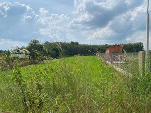 bán đất tại tân bình, tây ninh, 1.9 tỷ, 1350m2