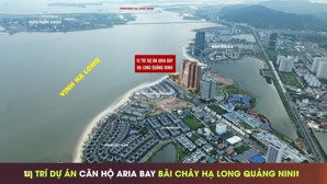 bán gấp condotel view đẹp tại aria bay tower, 90 triệu, 35 m2, hạ long, quảng ninh