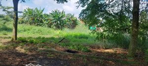 bán nhanh lô đất kdc nam long 2 - cần đước dt 64m2 giá 900 triệu, shr 