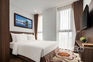 hàng ngoại giao cđt terra hào nam vào tên trực tiếp giá ưu đãi, chiết khấu cao lh 