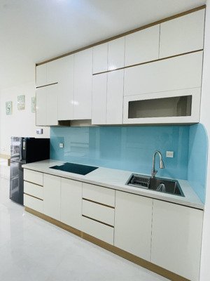 căn hộ chung cư cho thuê siêu hot tại nguyễn hữu thọ, 11 triệu, 39m2