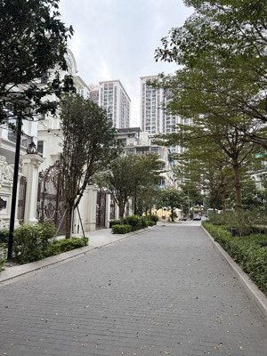 biệt phủ the zei - đường đôi nội khu - 266m2 5 tầng 1 hầm, ở yên tĩnh - sổ đỏ đẹp, giá thương lượng