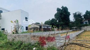 bán gấp đất nền tại thôn cổ rua, xã phú mãn, quốc oai, hà nội, 19 triệu / m2, 173.5 m2