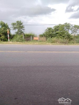 cho thuê đất tại trần phú, tây ninh, giá cực chất 100 triệu/tháng, 7700m2