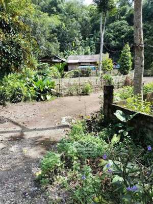 tuyệt tác nghỉ dưỡng bên lòng hồ thủy điện một bước chạm nước view triệu đô ôm trọn shoshin 5 sao