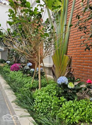 nhà phố kinh doanh mặt tiền 13m đường 24 m diện tích sử dung 1200 m2 + 2 đường trước sau + vườn cây