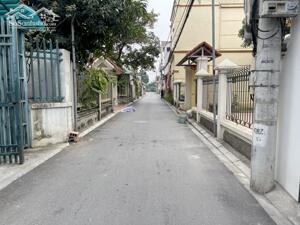 Cần bán 102m2 đất Làng Vàng, Gia Lâm. Đường thông xe ô tô 7 chỗ