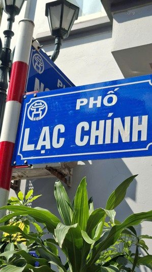 bán nhà mặt phố lạc chính 250m2, 10 tầng 1 hầm giá: 160 tỷ. ba đình