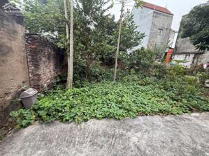 Bán đất Đông Dư Bát Tràng diện tích 42m2 giá nhỉnh 3 tỷ