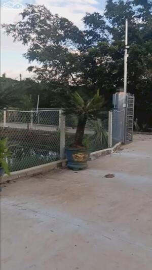 650 TR/SÀO LỘC AN, BẢO LÂM, BẢO LỘC - ĐƯỜNG XE HƠI, AO, GIẾNG, CAFE, SẦU RIÊNG