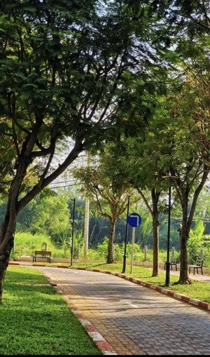 bán cc dragon hill, nguyễn hữu thọ,75m2, 2pn, 2wc, bao đẹp, view đẹp giá cực tốt