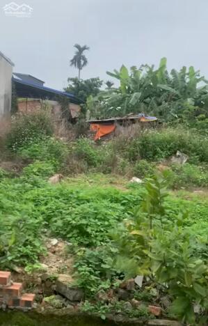 Siêu đẹp 65m2 Lương Quy An Dương Hải Phòng