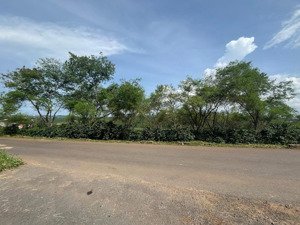 bán đất đt 724, phúc thọ, lâm hà, 2,9 triệu, 2872 m2, chính chủ, hot!