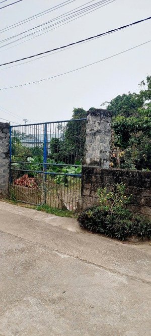 chính chủ gửi bán gấp 2000m lô góc cực đẹp giá rẻ liên sơn lương sơn hòa bình