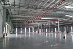 Nhà xưởng 6800m2, 13.600m2 KCN Thuận Thành Bắc Ninh cần cho thuê PCCC tiêu chuẩn, thành lập FDI