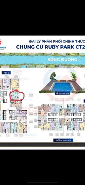 hiếm! căn view sông đuống, bc đông nam đẹp nhất tòa ruby park, 61m2-2pn-2wc tòa c. giá 4,3x tỷ.