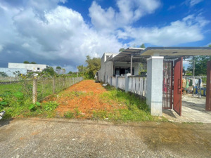 đất ở view lúa - đường ô tô thông