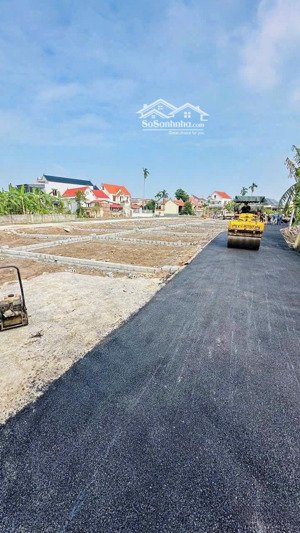 hàng hiếm bát trang đất f0 sát kcn