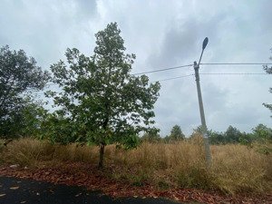 bán đất p. tiến thành, tp đồng xoài, t. bình phước (nay là phường đồng xoài, tỉnh đồng nai)