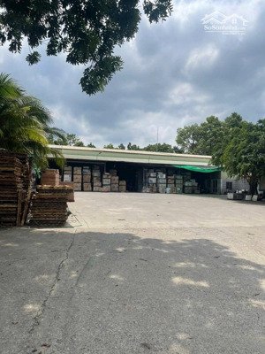 bán kho xưởng 2mt, nở hậu, 4.969m2, 1.000m2 thổ cư qh skc, 1.000m2 xưởng, đ. phước bình, long thành
