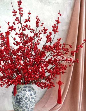 cho thuê nhà nguyên căn hoàng hoa thám 37m giá chỉ 13 triệu