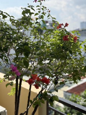 bán toà căn hộ đường 5m5 hoà cường. dt 70m2 xây mới 100% 7 phòng vị trí đẹp cho thuê ổn định