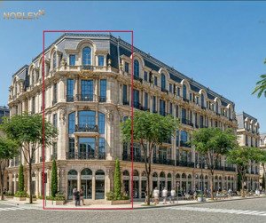 (hot) bán căn góc dự án noble palace ttl, dt đất 55m2, dtsd 185m2, xây dựng 4 tầng giá đầu tư