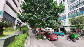 bán san tttm tầng 1 phố trần bình 1314m sổ hồng lâu dài