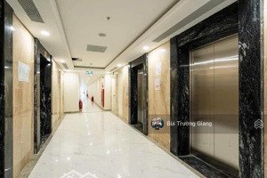 căn hộ vpđn 2pn, 2wc tại sunshine sky city, giá 4,15 tỷ, 70m2, q7, hcm bao công chứng sang tên