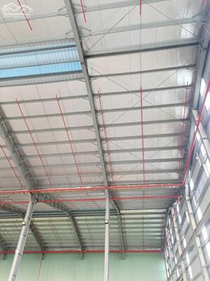 Xưởng mới dựng ở gần cầu Khuể, DT 3800m2, có đầy đủ PCCC tự động, làm được FDI. trạm điện 1200kva.