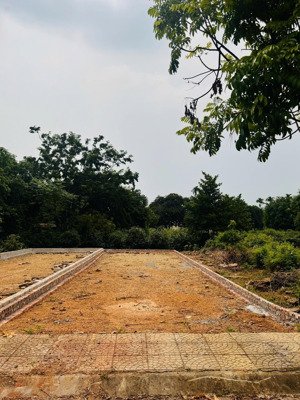 siêu phẩm 100m hồ sen linh sơn. giá đầu tư cực rẻ.