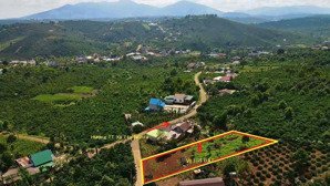 bán đất thổ cư tân nghĩa di linh lâm đồng gần trung tâm, giá 550 triệu, sổ hồng riêng