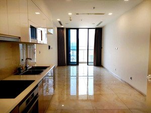 vinhomes golden river ba son cho thuê căn hộ 1pn view bitexco