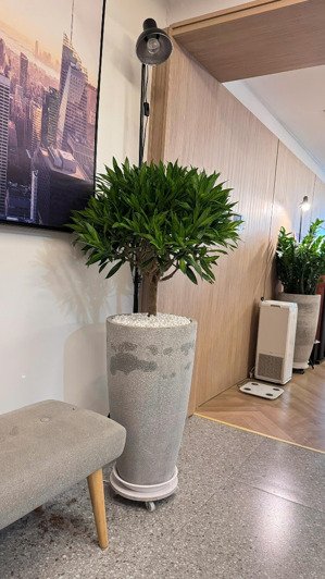 bán căn hộ chung cư tại việt đức complex, 11,7 tỷ, 138m2, 4pn, 3wc, đầy đủ nội thất, hướng đn