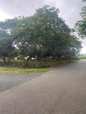 hàng hiếm * lô góc 5100m2 đường 13, 13b hoà long, bà rịa. có 300m thổ cư