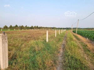 5x33 full thổ. đường xe hơi. gần kcn hiệp thạnh. 399tr