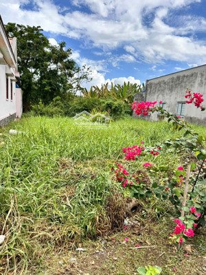 đất thổ cư shr 117m2 (5mx26) hẻm xe hơi tỉnh lộ 826c xã phước lại cần giuộc long an chỉ 1,45 tỷ