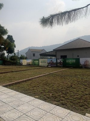 chính chủ cần bán gấp lô đất tại phú cát mới - hoà lạc 100m2 full thổ cư giá chỉ hơn 2,5 tỷ