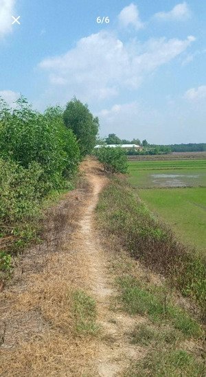 bán đất ấp vinh 13200m2 tại mỹ thạnh tây, đức huệ, long an, giá ưu đãi 11,85 tỷ