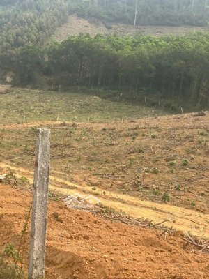 mảnh đất nghỉ dưỡng tại khánh thượng, mặt tiền nhiều, thế đất cao, view thoáng-không khí trong lành