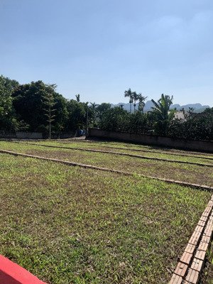 chính chủ cần bán gấp lô đất tại lạc thuỷ - hoà bình 100m2 giá chỉ từ 500triệu