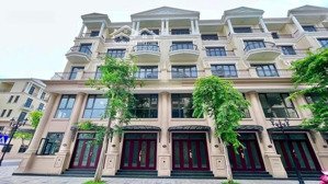 đảo dừa hoàn thiện 5 tầng ở luôn giá rẻ full chính sách chủ đầu tư