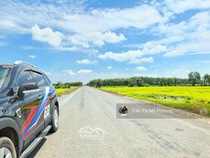 2541m2 đất trồng cây lâu năm, ấp 6 mỹ thạnh đông, ngang 40m, view kênh, sổ sẵn, công chứng nhanh.