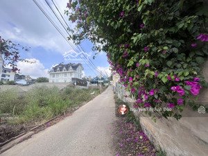 chốt giá tốt cuối năm 2 mt an bình đà lạt quá rẻ quá tốt.