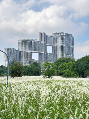 bán căn studio sky forest hướng nam giá 2.55 tỷ bao phí, lh 